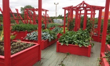 Création de jardin potager au carré en bois sur mesure
