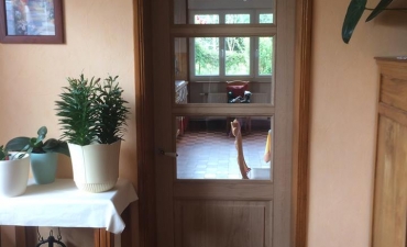 Rénovation porte bois_3